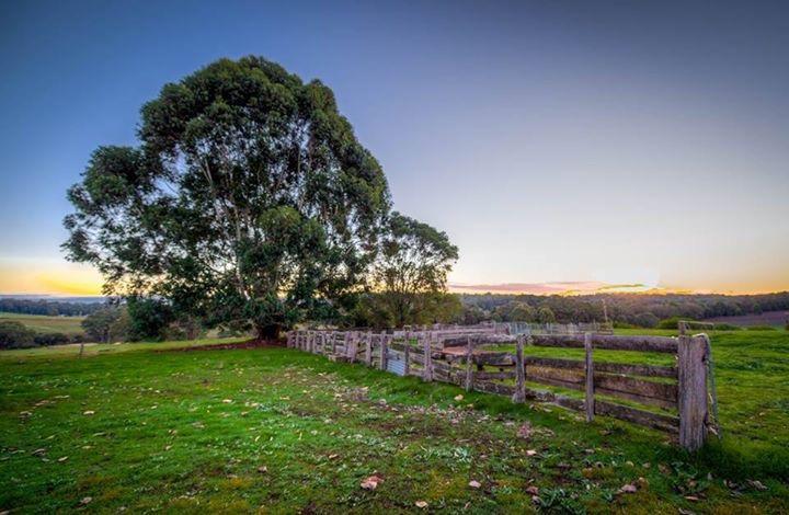 Dingup House Bed & Breakfast Manjimup Exterior photo