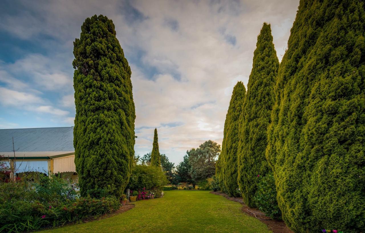 Dingup House Bed & Breakfast Manjimup Exterior photo