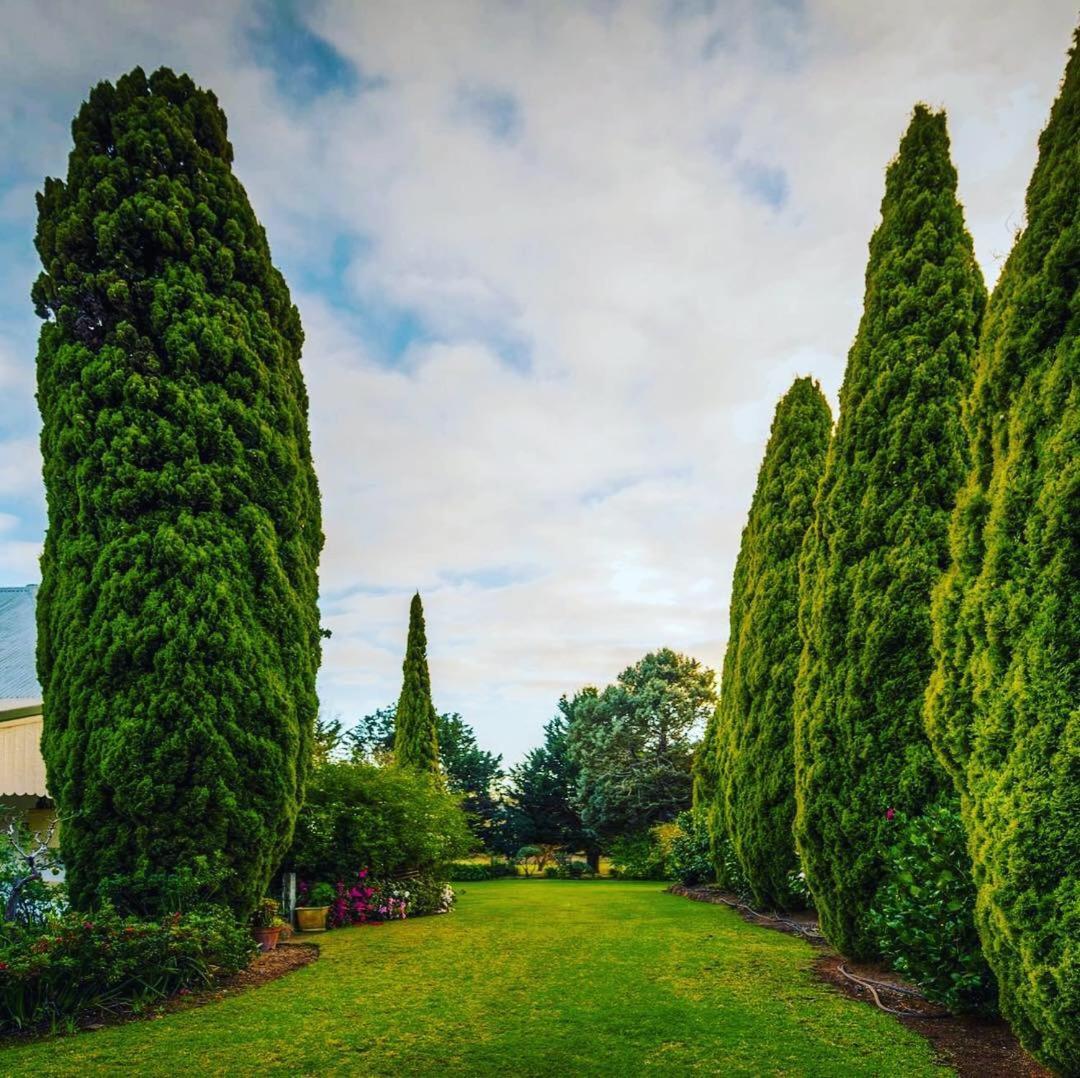 Dingup House Bed & Breakfast Manjimup Exterior photo